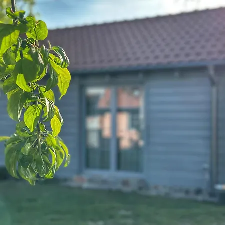 Dla Pary - Sauna, Joga, Masaz, Jezioro Holiday home